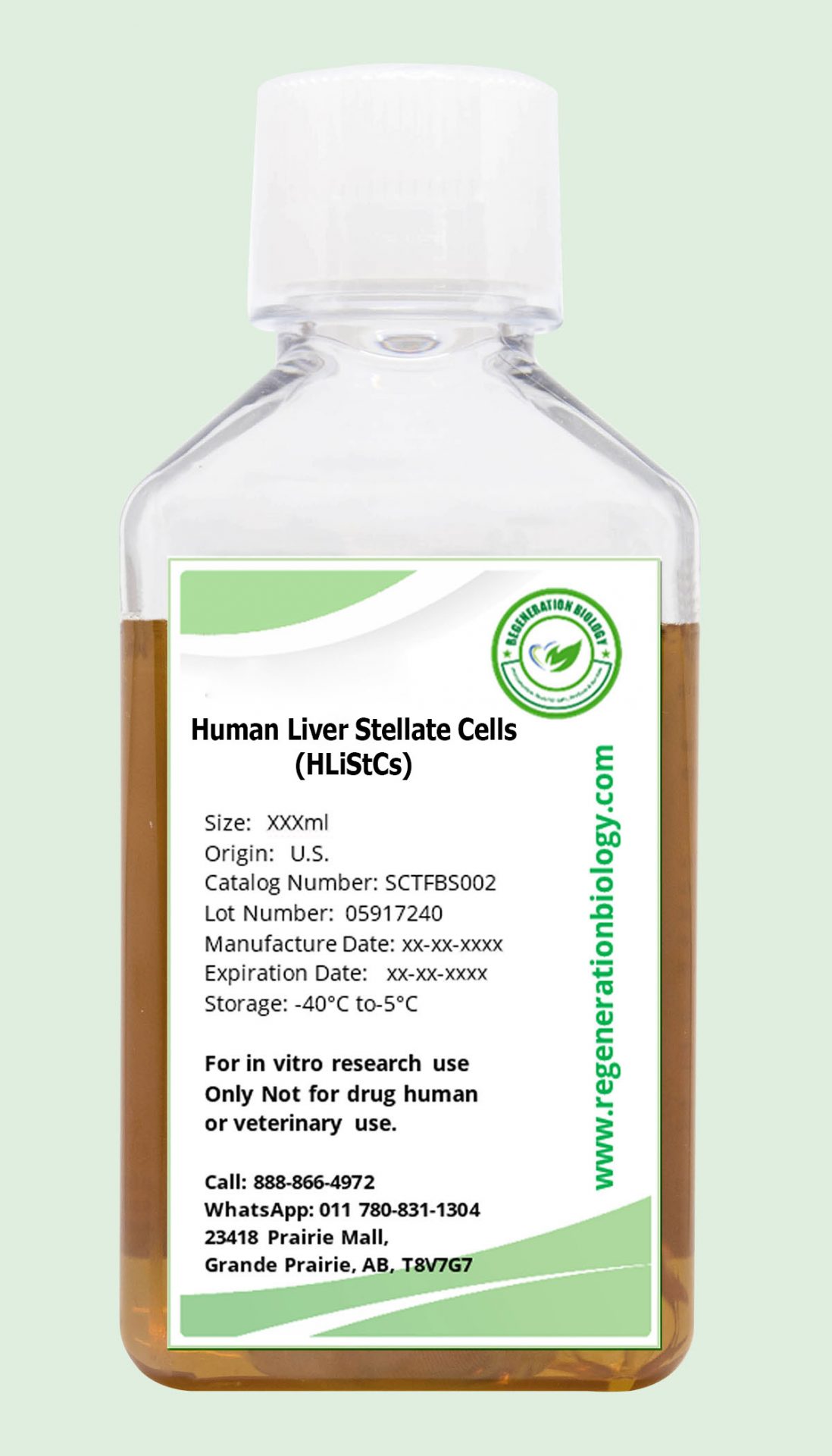 Human Liver Stellate Cells (HLiStCs)